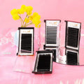 Wholesale DreamFlower PBT Individual Eyelash Extensions 5-25mm for Natural Soft Volume Classic Hybrid Lashes Available