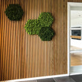 Custom Akupanel Wooden Slat Acoustic Panels Slated Wall Sound Proof for Meeting Room
