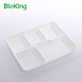 BioKing the New Sugarcane Bagasse 5compartment Tray School Tray Paper Tray