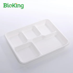 BioKing the New Sugarcane Bagasse 5compartment Tray School Tray Paper Tray