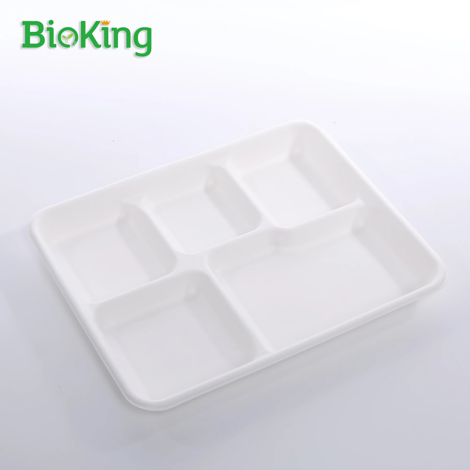 BioKing the New Sugarcane Bagasse 5compartment Tray School Tray Paper Tray