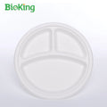 BioKing Disposable Compostable Bagasse Plates Sugarcane Biodegradable Eco-Friendly Culinary Accessories