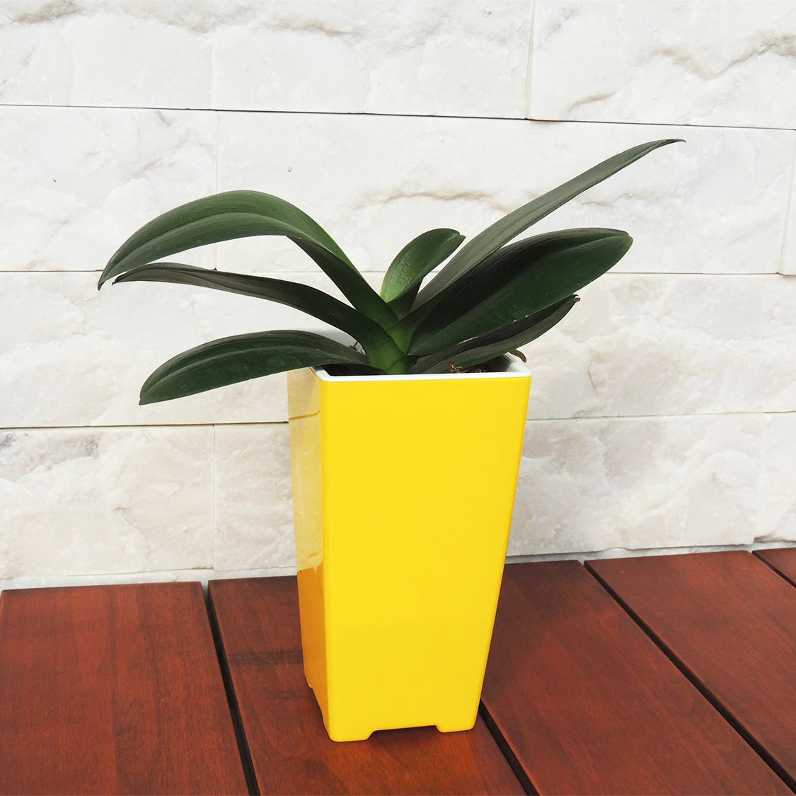2021 New Design Home Decor Planters Indoor and Outdoor Desktop Orchid Garden Containers