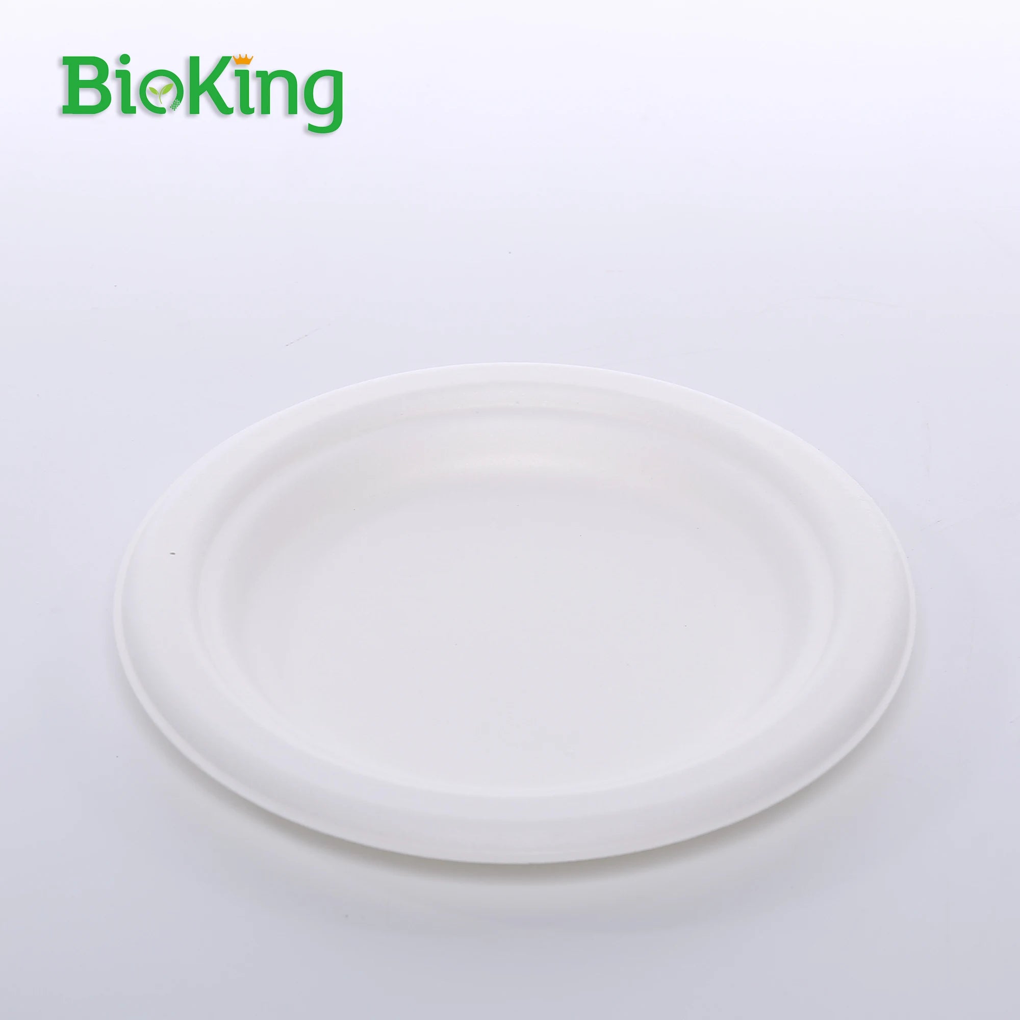 BioKing Top Fashion Biodegradable Disposable Bagasse Plates for Restaurants Weddings for Food Packaging Sushi Display