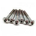 Hot Sale M10 GR5 Titanium Pan Head Bolt for Motorcycle