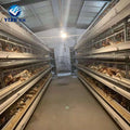 5 Tier H Type Chicken Cage Big Capacity with All Accessories