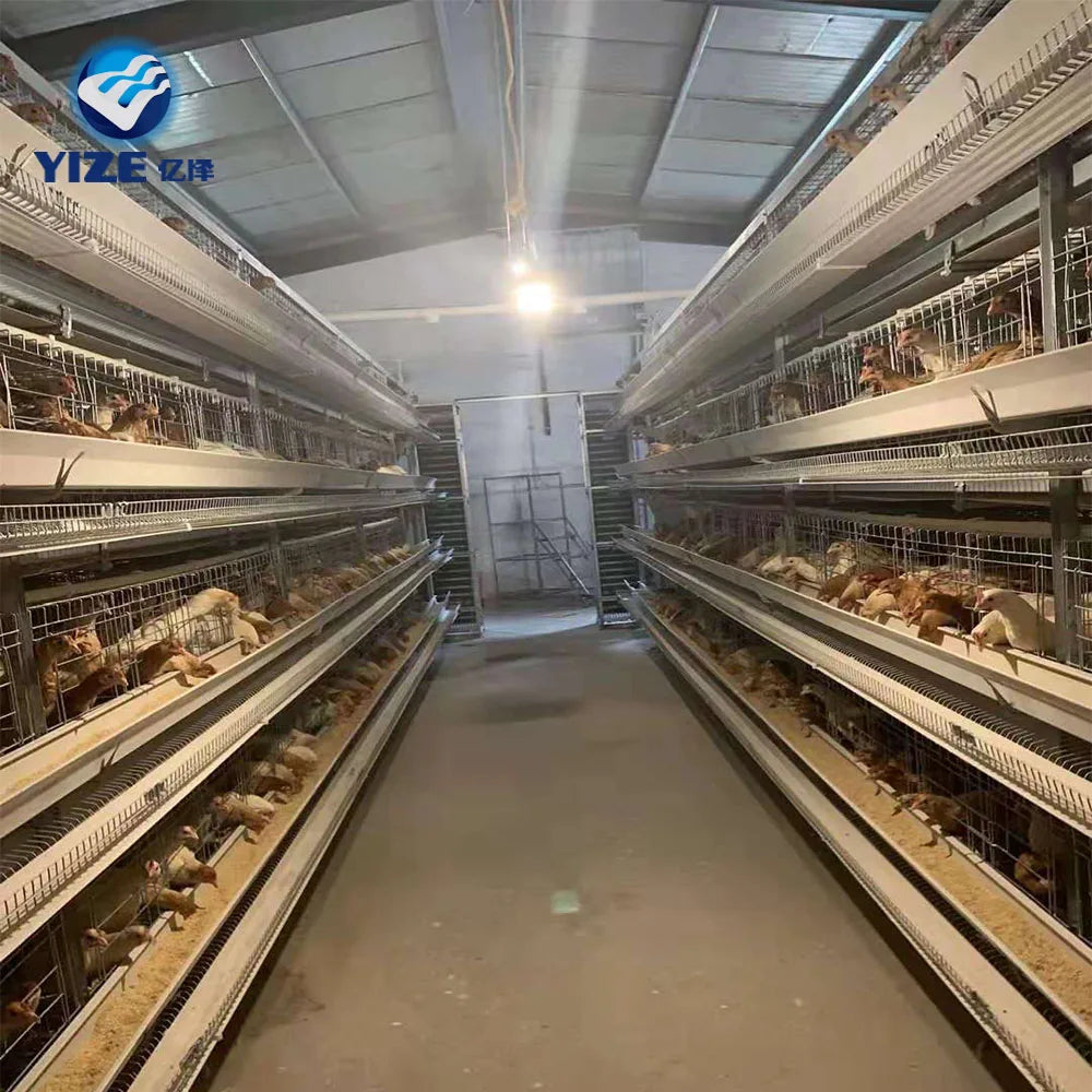5 Tier H Type Chicken Cage Big Capacity with All Accessories