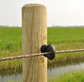 Different Types of Insulated Screw-In Galvanized Steel Semicircle Electrical Fence Screw Insulator Electric Fencing Insulators