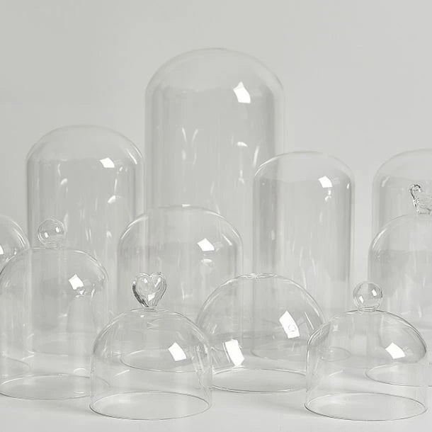 Borosilicate Glass Cloche Bell Dome Transparent Tabletop Home Decor