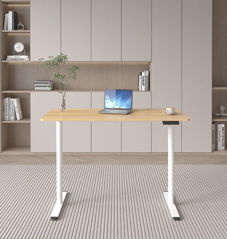 Loctek Ergonomic Standing Desk, Electric Height-Adjustable Desk, 120x60cm, Oak Top MegaBDM