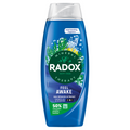 Radox Mineral Therapy 2-in-1 Body Wash & Shampoo Feel Awake 450ml MegaBDM