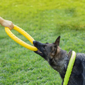 Durable EVA Floating Tug Ring Dog Toy – Chew-Resistant Fetch Toy for Water Training – EU Local Stock