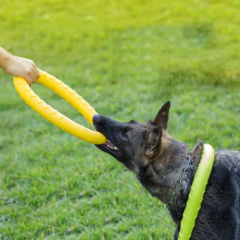 Durable EVA Floating Tug Ring Dog Toy – Chew-Resistant Fetch Toy for Water Training – EU Local Stock