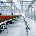 ChenChao Factory Corrosion Resistant Shuttle Rolling Bench with Plant Logistics Automated Handling System for Plant Nursery MegaBDM