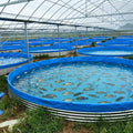 Heavy Duty Galvanized Steel Pond Corrosion-Resistant Tank for Tilapia MegaBDM