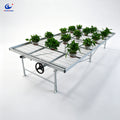 Anti-rust Greenhouse Rolling Bench with Steel Frame, Durable Wire Mesh Grow Table for Large Scale Agriculture MegaBDM