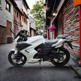 New Type Sport Off-Road Street Bike - 250cc Gasoline-Powered Motorcycle (B)