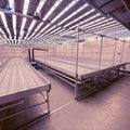 Manual Track Ebb and Flow Bench Rolling Nursery Bed for Greenhouse Seedling Cultivation & Hydroponic Growing MegaBDM