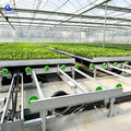 ChenChao Wholesale Industrial Grade Mobile Greenhouse Bench with Adjustable Height, Hydroponic Rolling Table for Flower Grower MegaBDM