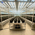 Ebb and Flow Bench Manual Track Ebb and Flow Bench Greenhouse Rolling Bench for Indoor Hydroponic Nursery Farm MegaBDM
