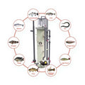 ISO9001 CE Certified RAS Water Filters Industrial Protein Skimmer for Aquaculture 12 M³/H Ras Aquaculture Systems MegaBDM