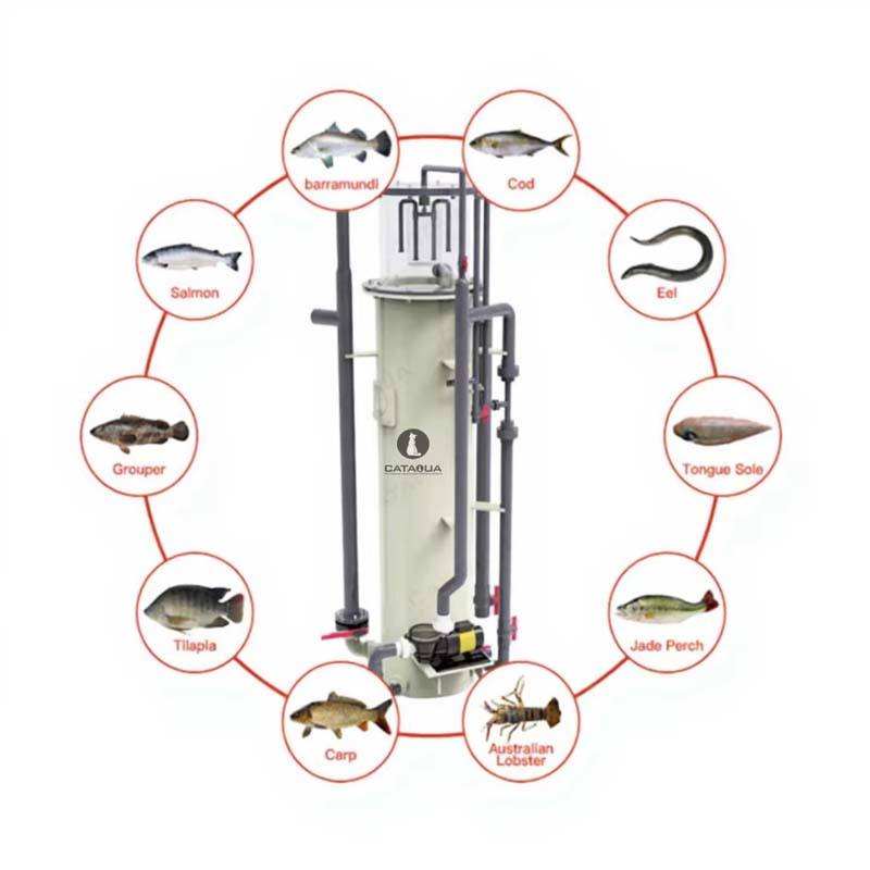 ISO9001 CE Certified RAS Water Filters Industrial Protein Skimmer for Aquaculture 12 M³/H Ras Aquaculture Systems MegaBDM