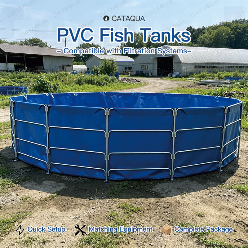 Low Energy Consumption Fish Tank PVC RAS System Closed Loop Water Purification for Land Based Fish Farming MegaBDM