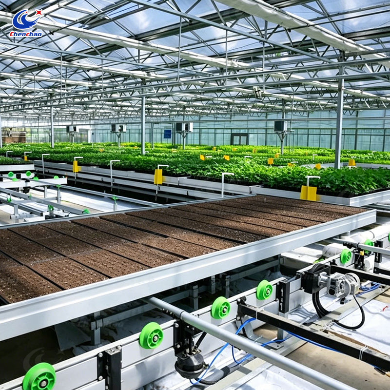 Logistics Rolling Bench System, Commercial Vertical Grow Table for Greenhouse Nursery Seedling Benches and Planting MegaBDM
