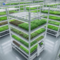 Multi-layer Rolling Bench 4x8ft Flood and Drain Commercial Grow Bench for Greenhouse Seedlings and Hydroponic Vegetables MegaBDM