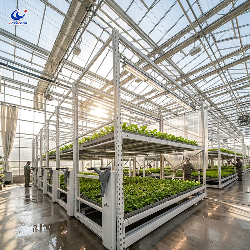 Ebb and Flow Rolling Bench Vertical Farm Planting Rack Multi-Layer Hydroponic Growing System for Tunnel Greenhouse MegaBDM