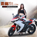 Yamaha R3 Replica Used Motorcycle - 250cc Racing Street Bike ($490) MegaBDM