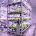 Vertical Planting Rack System, Mobile Grow Shelf with Tray & Rolling Bench Greenhouse Kit for Medical Herbs MegaBDM