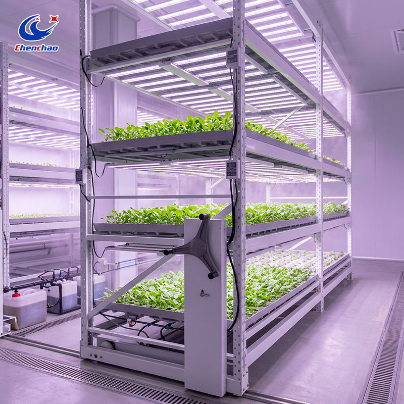 Vertical Planting Rack System, Mobile Grow Shelf with Tray & Rolling Bench Greenhouse Kit for Medical Herbs MegaBDM