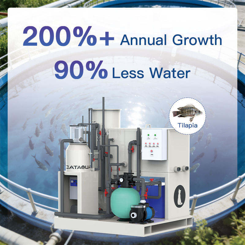 5m³/h High Density Tilapia Bass Integrated RAS System for Land Based Aquaculture Systems Bsf Farming Equipment MegaBDM