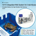 High Density Low Maintenance Industrial PP Material Modular Stackable Crab Farming Boxes for Protein Skimmer Saltwater MegaBDM