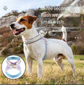Lightweight Breathable Dog Harness & Leash Set – Padded Chest Strap, Rainbow & Solid Colours – Size L – EU Local Stock