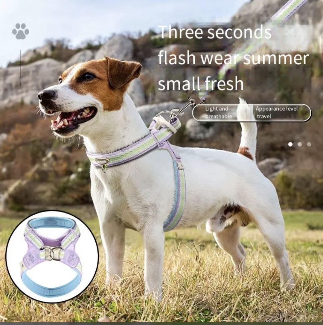 Lightweight Breathable Dog Harness & Leash Set – Padded Chest Strap, Rainbow & Solid Colours – Size L – EU Local Stock