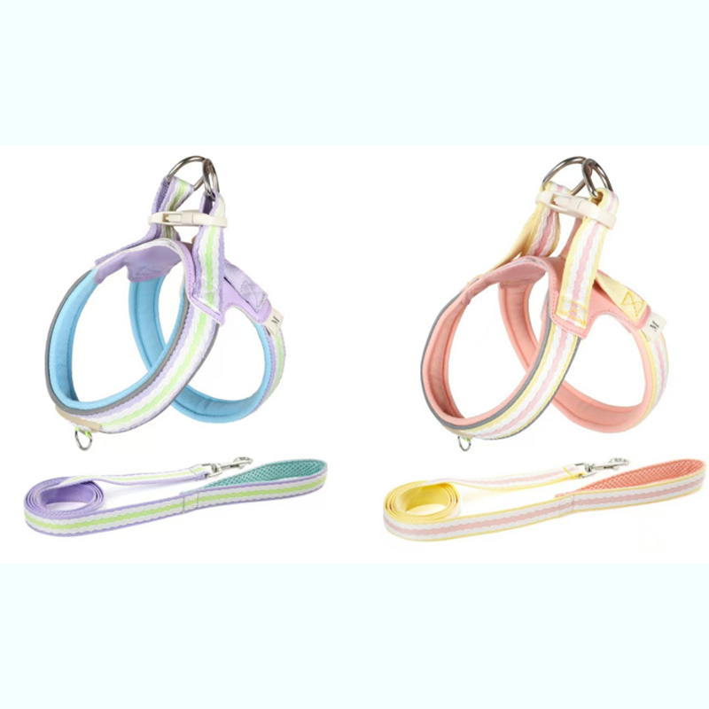 Lightweight Breathable Dog Harness & Leash Set – Padded Chest Strap, Rainbow & Solid Colours – Size L – EU Local Stock