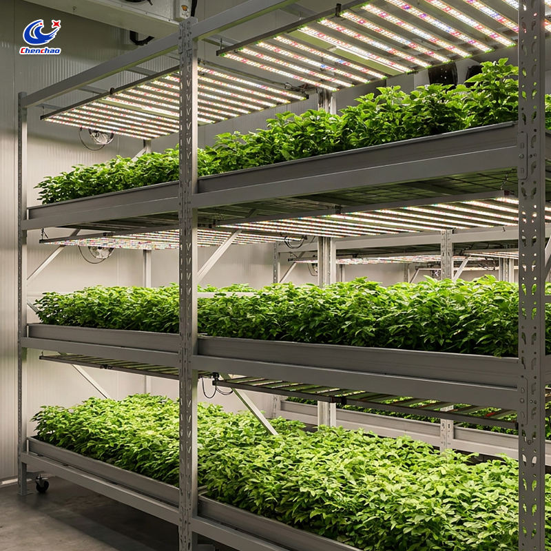 Multi-layer Rolling Bench Vertical Grow Rack Commercial Indoor Hydroponic Plant Cultivation Shelf for Greenhouse MegaBDM