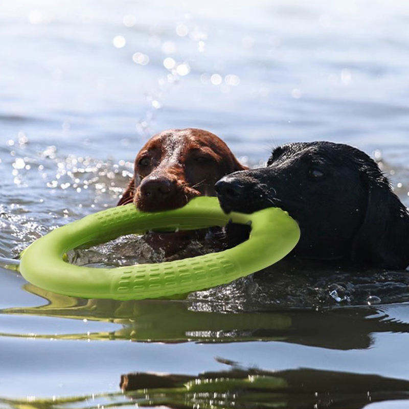 Durable EVA Floating Tug Ring Dog Toy – Chew-Resistant Fetch Toy for Water Training – EU Local Stock
