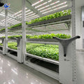 Smart Vertical Grow Rack with LED Lights Intelligent Planting Rack for Indoor Vertical Farming MegaBDM